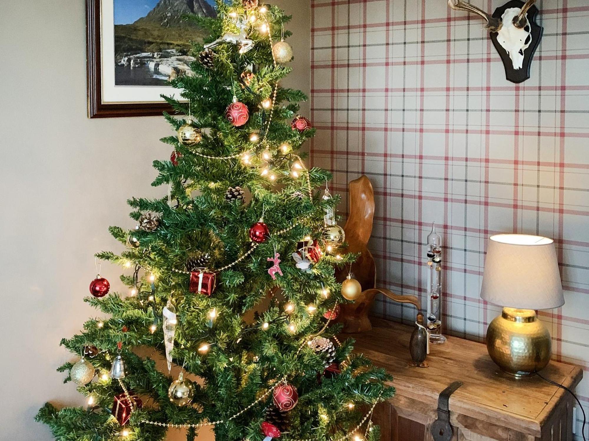 Ardross Villa Comrie Kültér fotó
