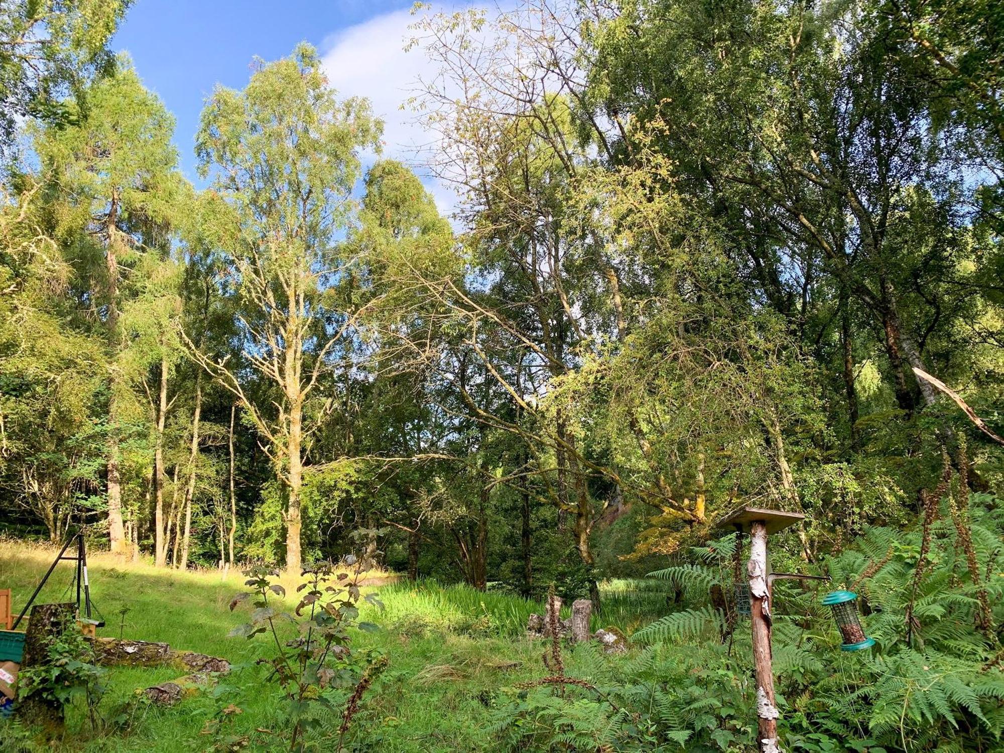 Ardross Villa Comrie Kültér fotó